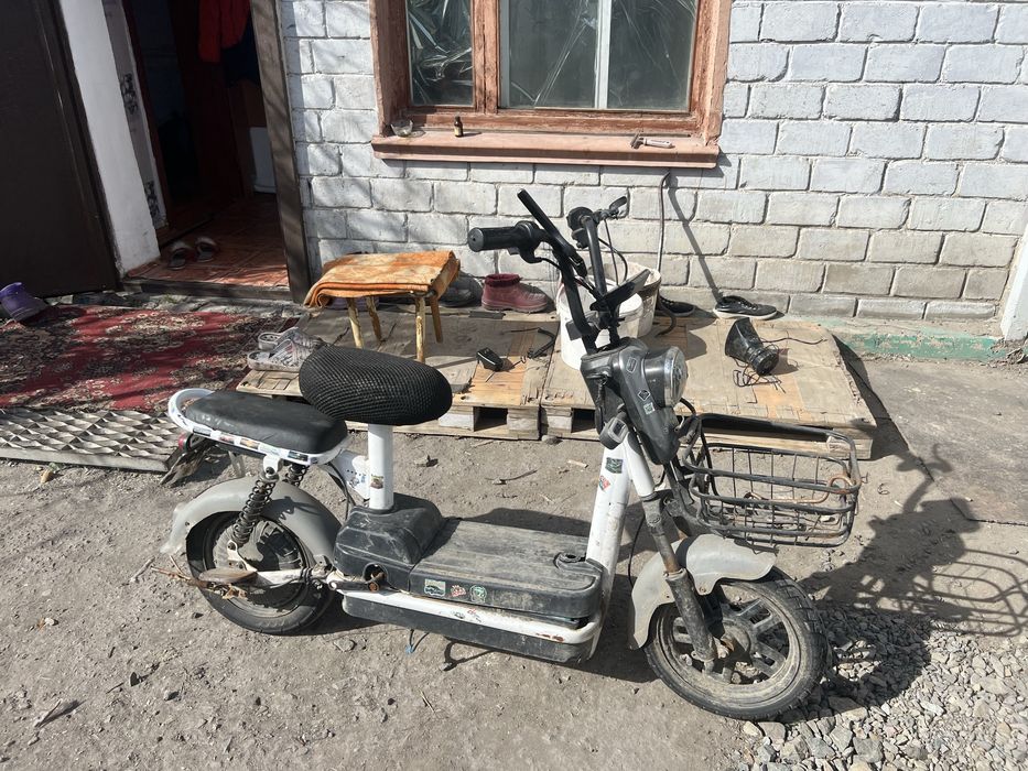 Электро      велик