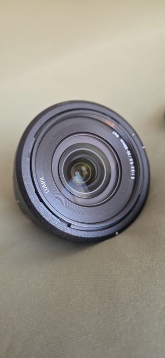 Panasonic lumix a 20-60 L mount