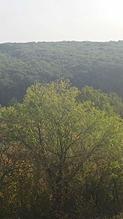 Продава се Парцел в Русе, Дружба 1 - 570 кв.м за 32 €/кв.м - Снимка #1