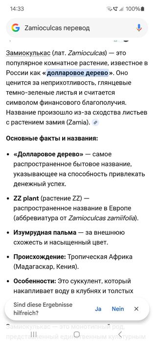 Денежное дерево,Долларовое дерево