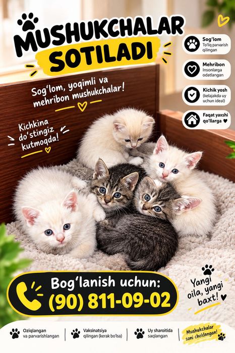 Mushuklar sotiladi