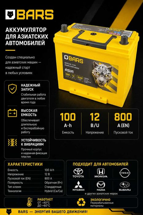 Аккумулятор BARS ASIA 100 А·ч 800 А