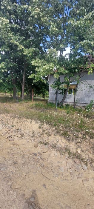 Vând casa cu grădină