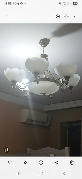 Lustra xolati orta bu