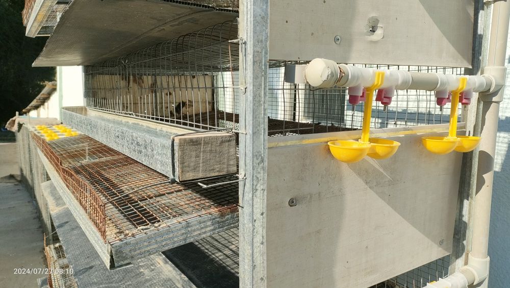 Клетки для перепелов. Бөденеге клетка