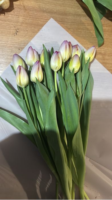 тюльпаны не дорогие свежие