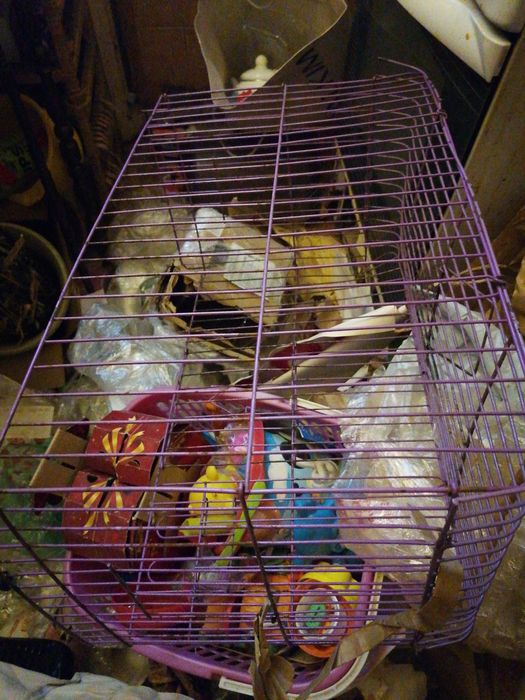 Верхняя часть клетки без дна 27*51, высота 31/33