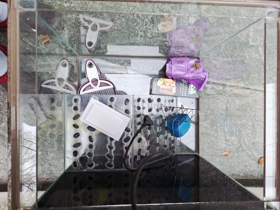 Терариум продам срочно