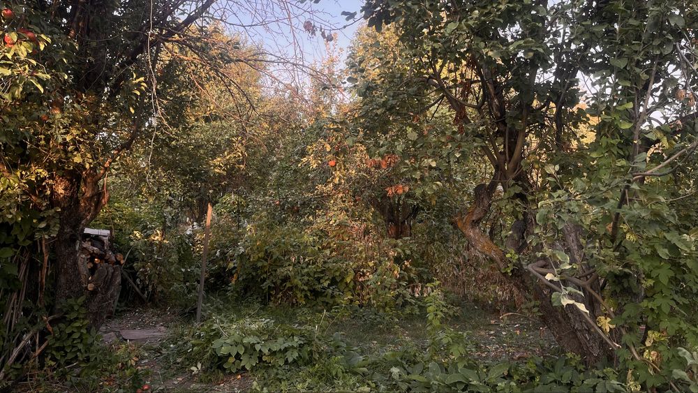 Дача село Болек