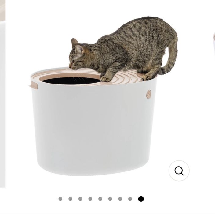 Litiera pentru pisici