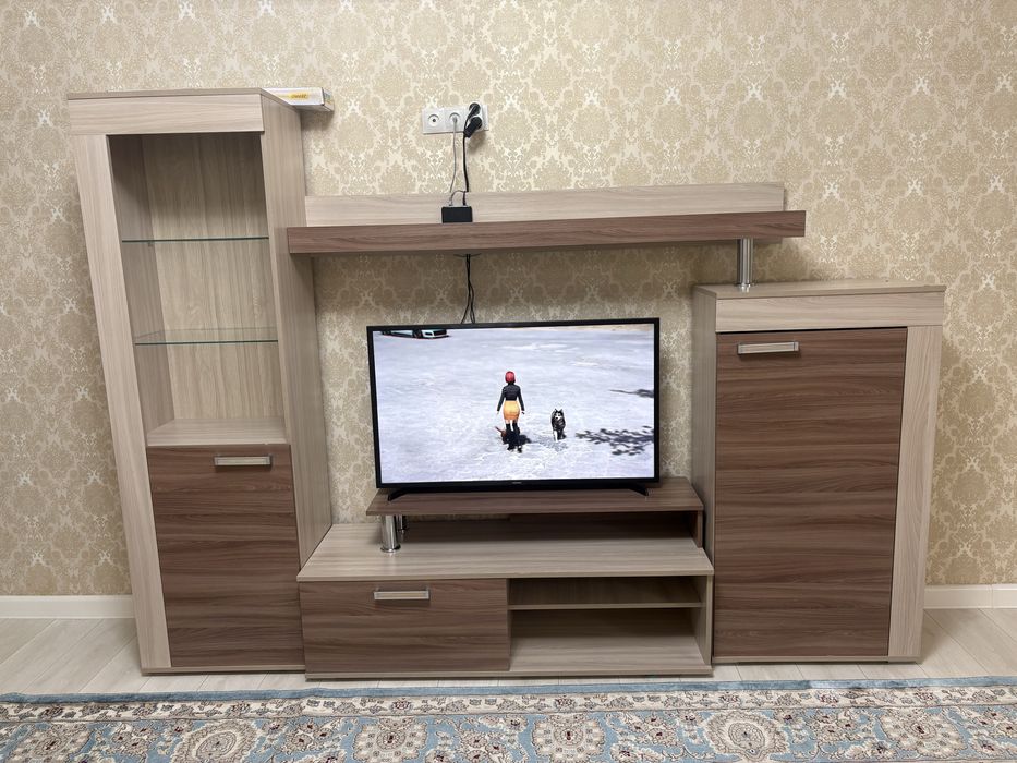 тв астына қоятын