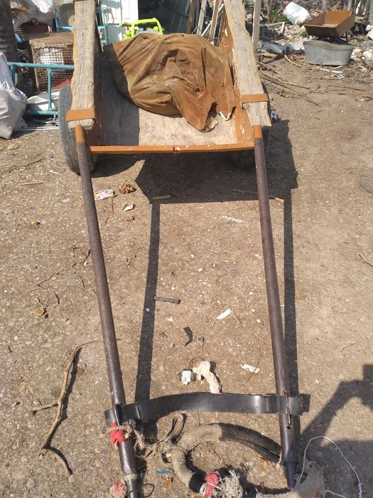 Wall Street pornosini tomosha qiling