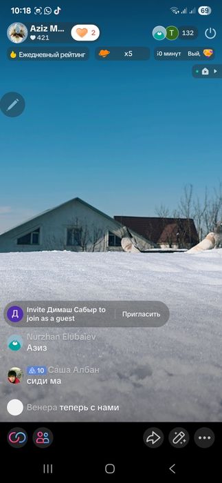 Продаются высококлассные голуби