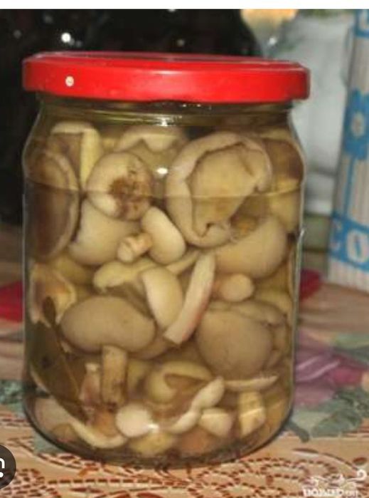 Маслята,подосиновики, подберёзовики