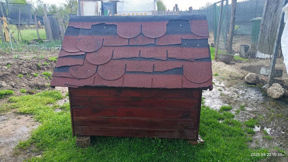 Cușcă pentru câini