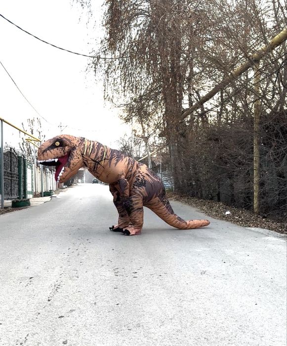 Воздушный костюмы на Прокат