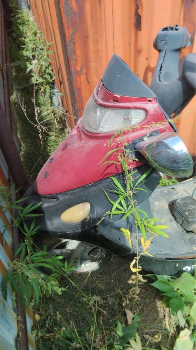 скутер Viper F1 150