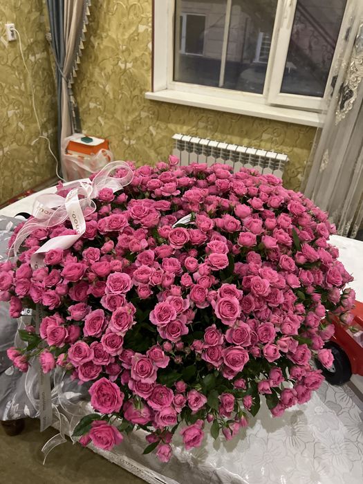 цветы свежи шымкент город