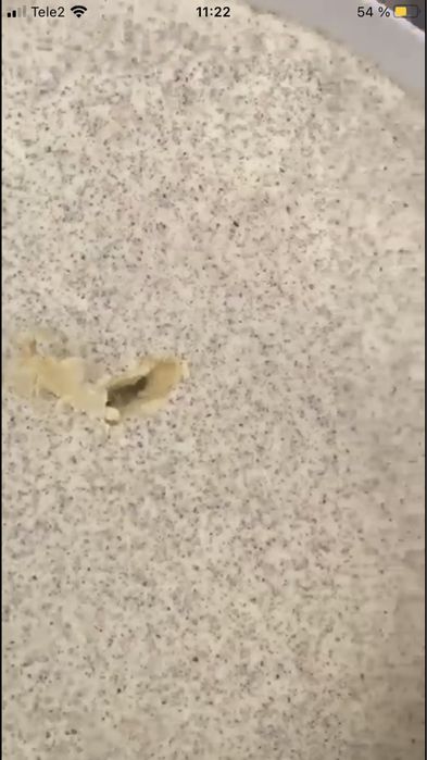 Мёд натуральный оптом