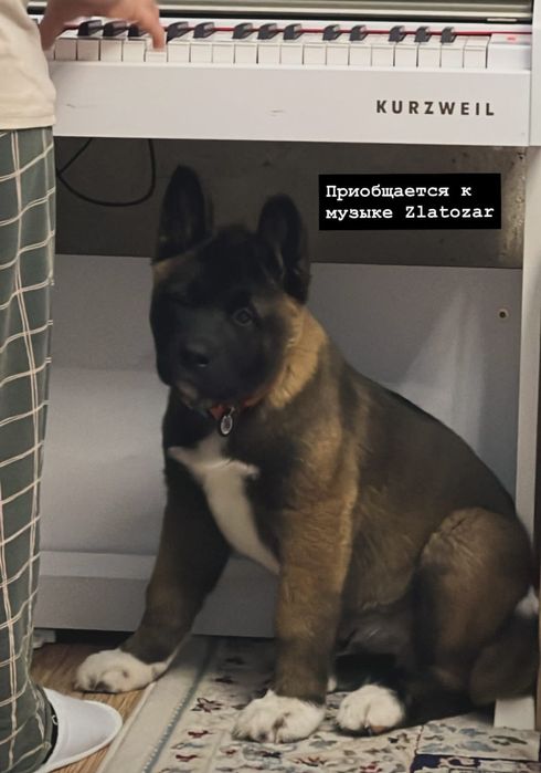 Детки Шикарные обалденные