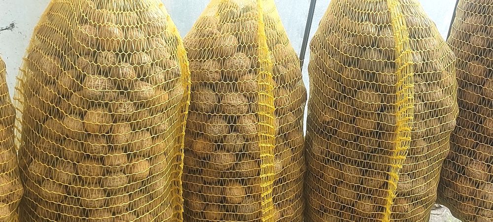 Добре сортирани  орехи