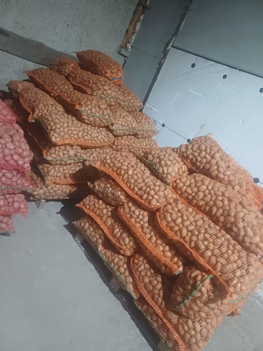 Cartofi sământa Alb si Rosu