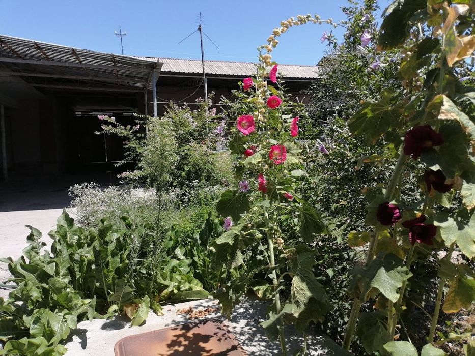 Кибрай Аргинда ховли сотилади. Срочно