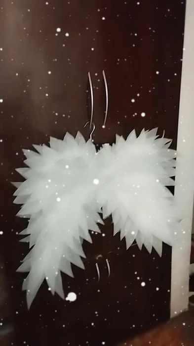 Крылья для фото ссесии