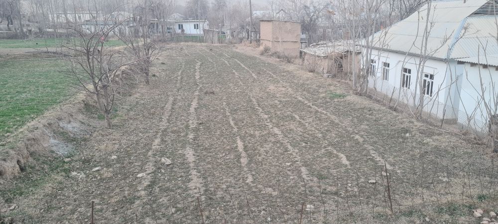 Огород сотилади  8 соток