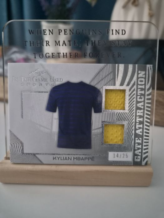 Kylian Mbappe leaf in the game used sport