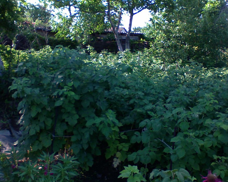 Продается дача на Чолдале