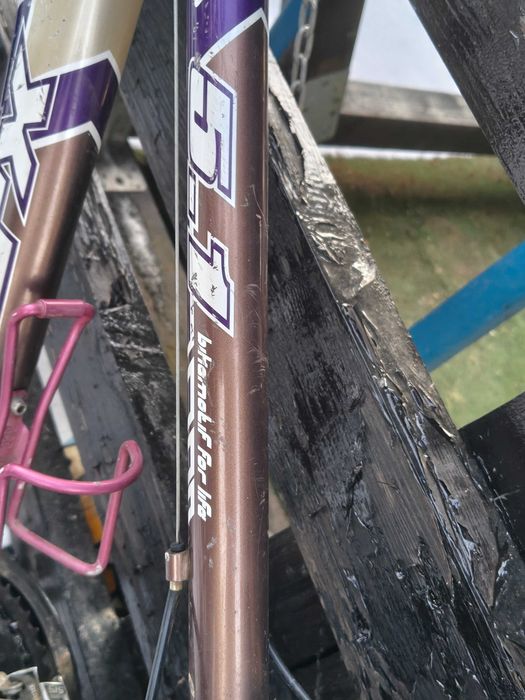 Vand bicicleta adulti