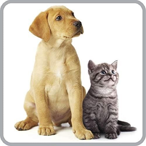 Нова прахосмукачка с контейнер Rowenta RO3786EA