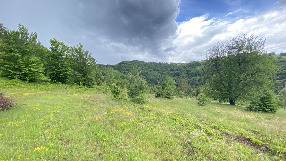 Vând teren extravilan 30.000 mp (3 ha)- Gârda de Sus, Alba