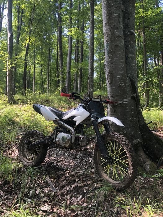 schimb cross 125