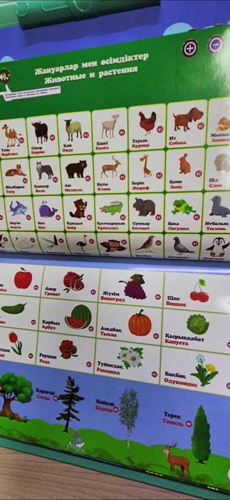 Интерактивті кітапша