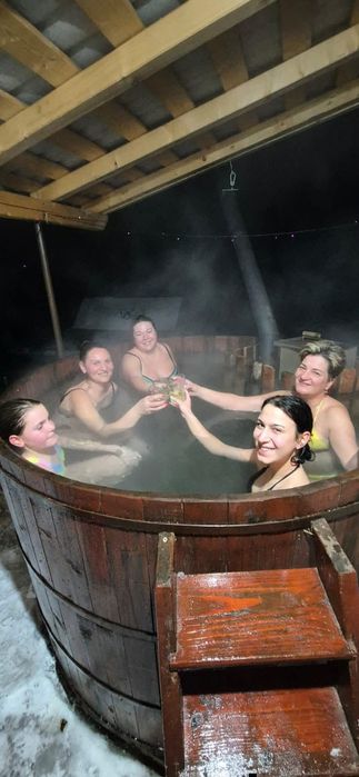 Cabana Robert Arieseni