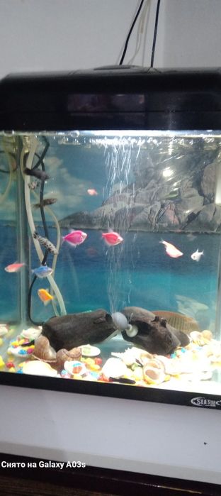 Заводской акварюм 50 тысяч