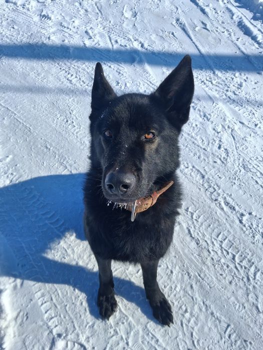 В.е.о.Кабель.Вязка.