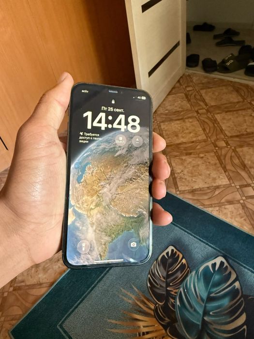 apple         12 pro