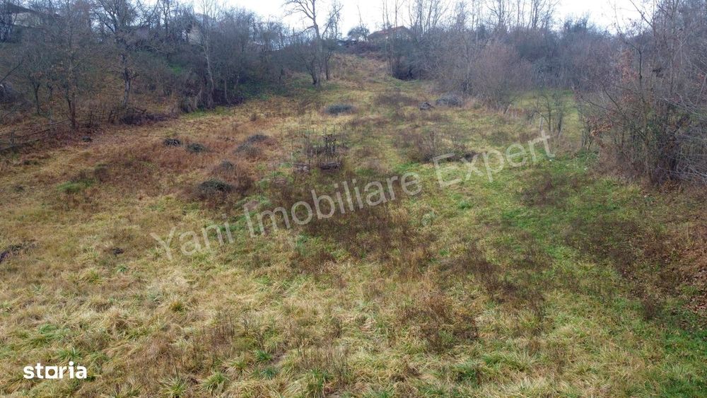 Teren de vânzare în comuna Valea Iasului, județ Argeș.