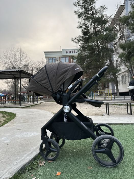 Коляска 2в1 Moni