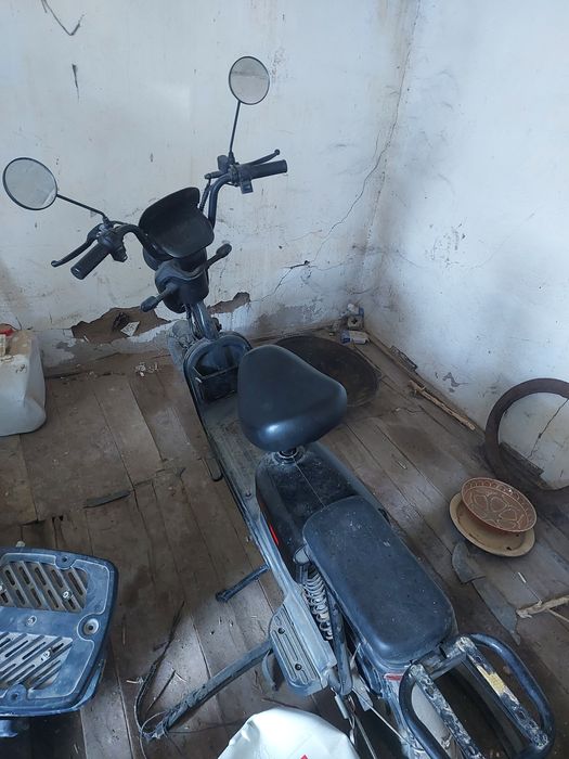 Electra sukutr sotiladi