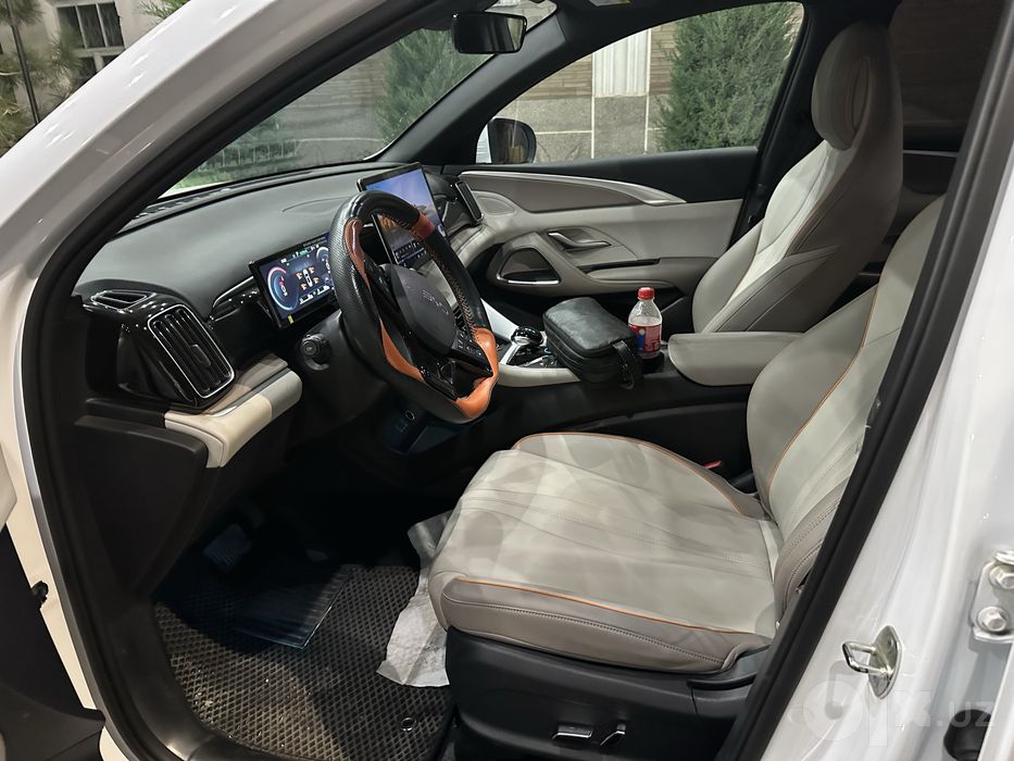 BYD song pro. 2024