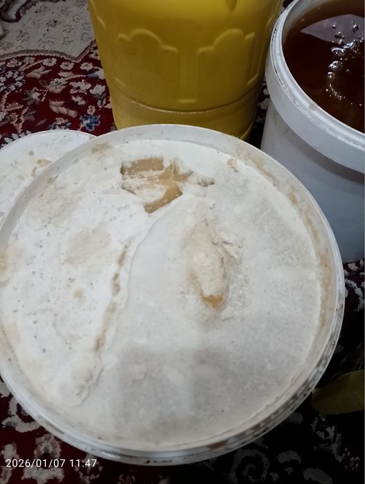 Qirgiziston tabiy asali