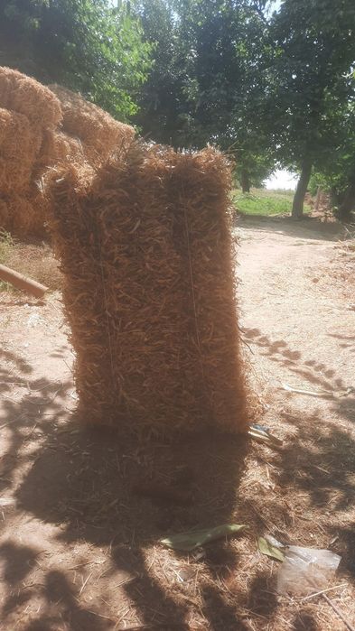 Pres прес  loviyani poyasi fasol фасоль прес