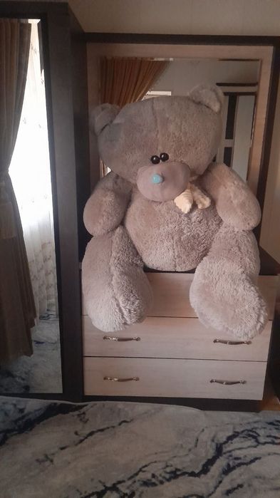 Teddy Ayiqlari sotiladi