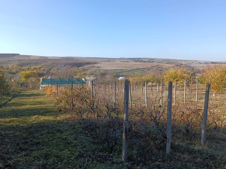 Teren intravilan sat Malcoci, com. Nufaru, jud. Tulcea