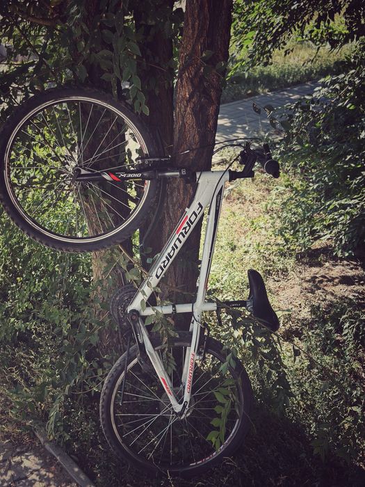 Велосипед FORWARD TWISTER 24’’