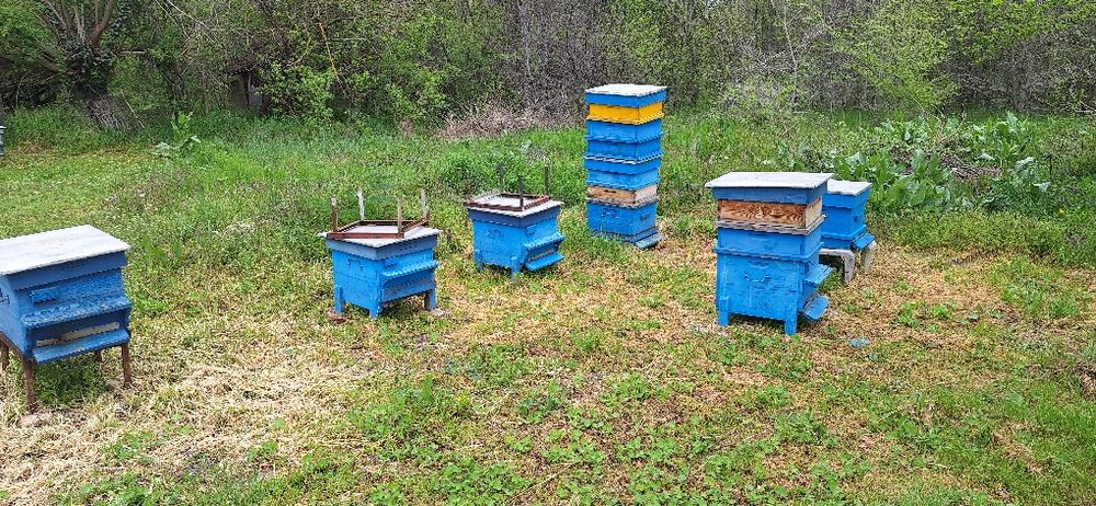 Пчелни кошери празни